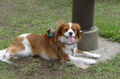 n7_convert_20120428210953.jpg