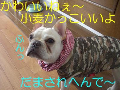 えり4