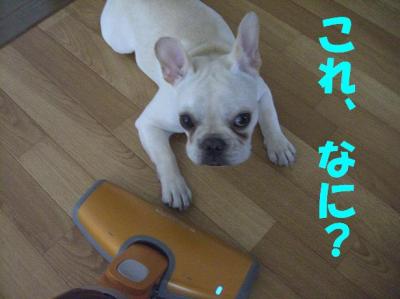 そうじ7