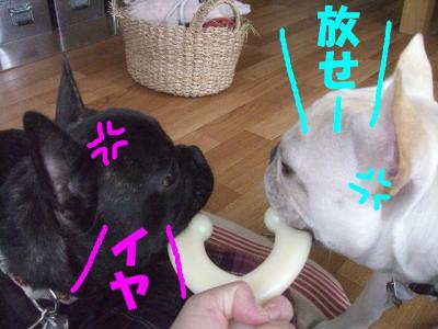 kami9.jpg