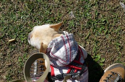 o12_20121118212036.jpg