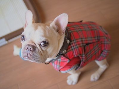 fuyu5_20130927090024253.jpg