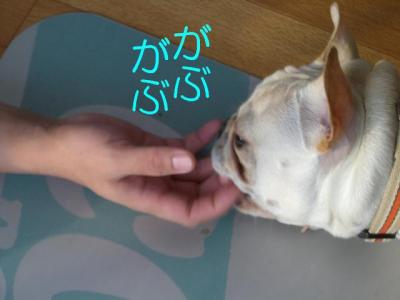 拓5