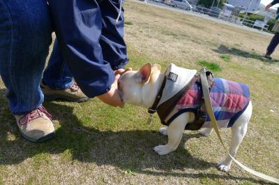 kiso6_convert_20120320091705.jpg