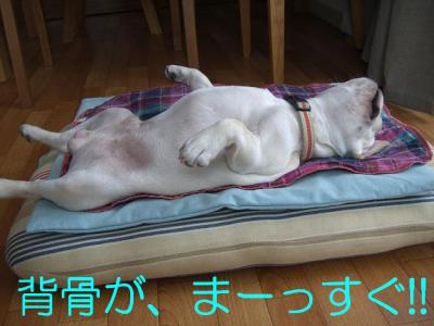 ざ6