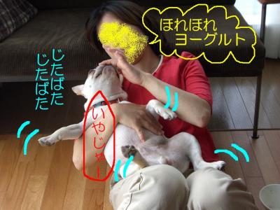 仰向け抱っこ1