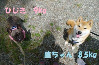 od24_convert_20120520171052.jpg