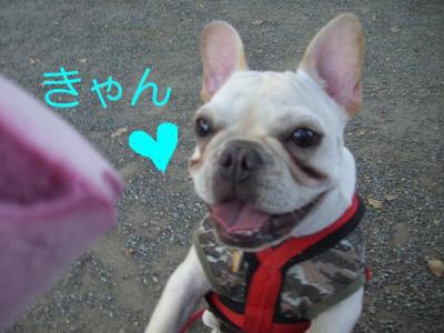 お16