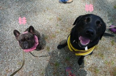 od25_convert_20120520171400.jpg