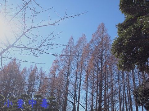 m1_20150115212707d1a.jpg