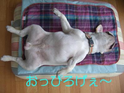 ざ7