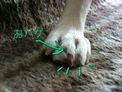 fc2blog_20120807215247605.jpg