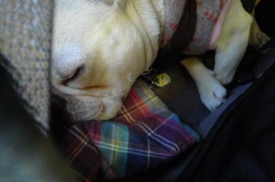 201122615.jpg