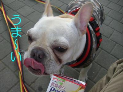 散トレ15
