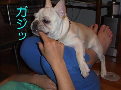 筋トレ5