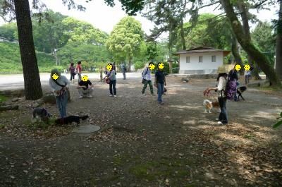 od2_convert_20120520170104.jpg