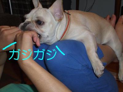 筋トレ6
