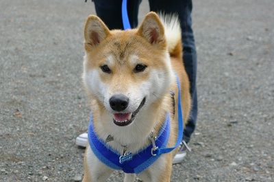 ok3_20121030192054.jpg