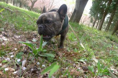 j13_convert_20120421213842.jpg