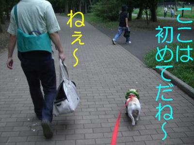 ろ2