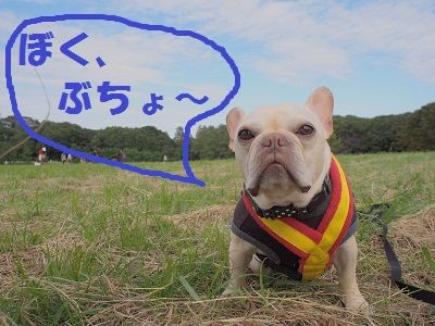 部活1