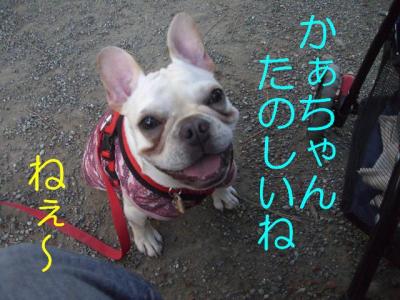 散トレ17