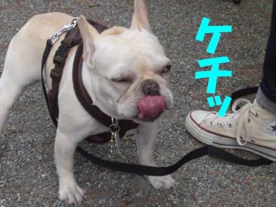 お15