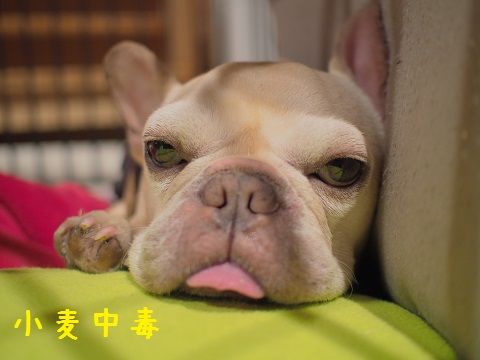 k13_20150127201626776.jpg