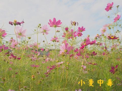 c16_2014102620191144b.jpg