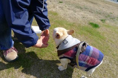 kiso5_convert_20120320091634.jpg