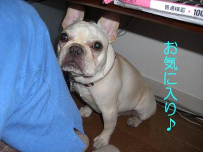 の8