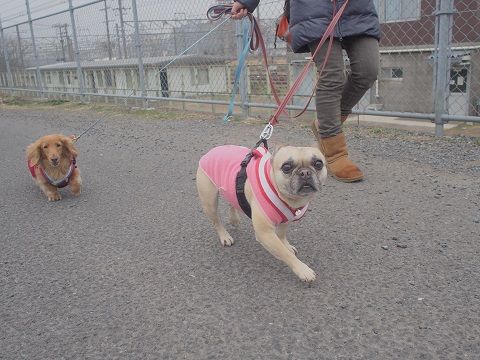 2bu2_2014022715443343f.jpg