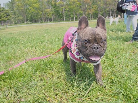 mi14_201404172018475cd.jpg