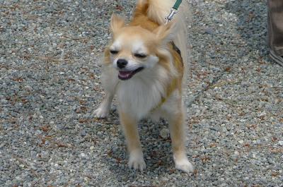 od7_convert_20120520170310.jpg