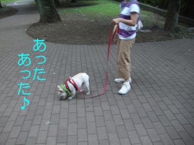 ろ9