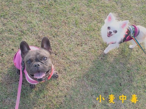 c10_201410262015542bb.jpg