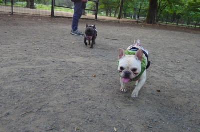 j8_convert_20120804094616.jpg