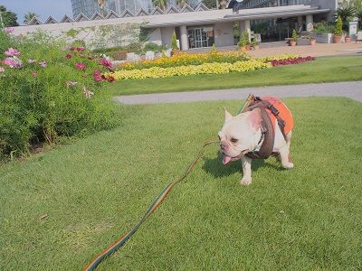 asa17_20130922112347375.jpg