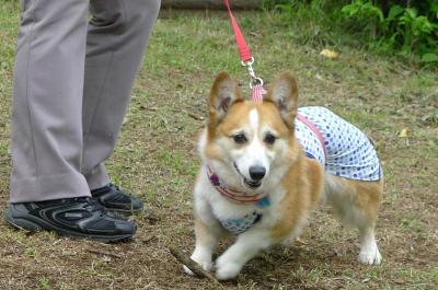 m26_convert_20120526202752.jpg