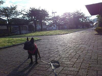 fc2blog_2012051616163819c.jpg