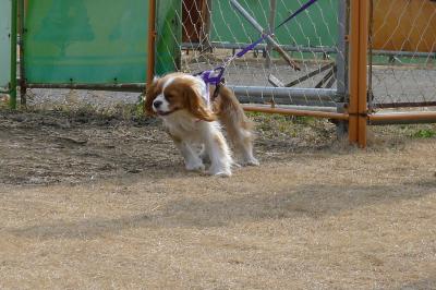 yoko9_convert_20120129145719.jpg