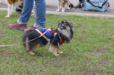 n6_convert_20120428210920.jpg