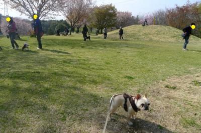 j25_convert_20120421214746.jpg