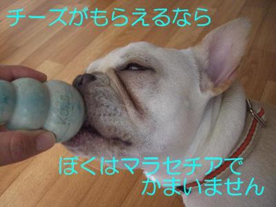 耳薬5