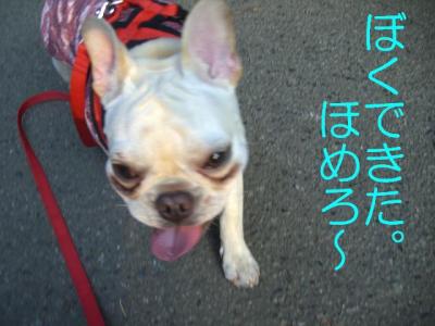 散トレ14