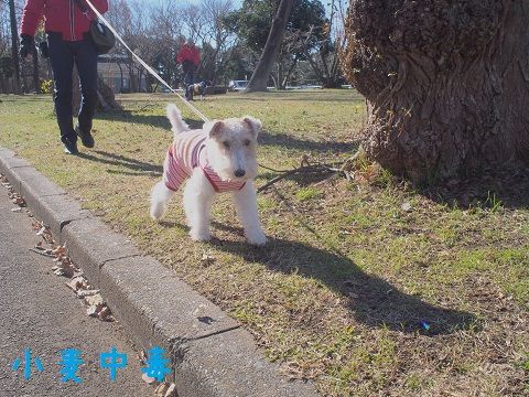 m3_20150115212709af5.jpg