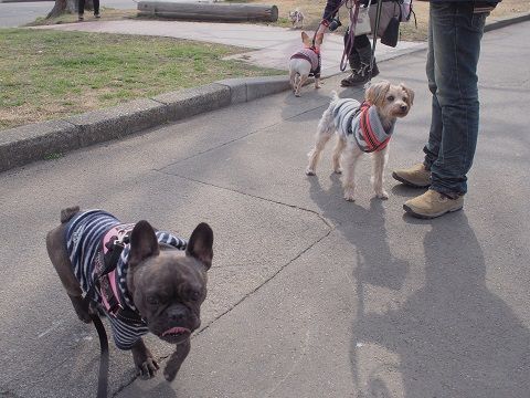 mizu2_20140220192803707.jpg