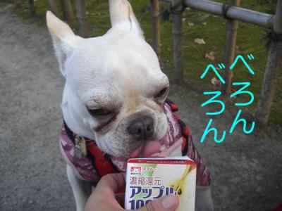 散トレ15