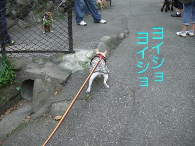 散トレ12