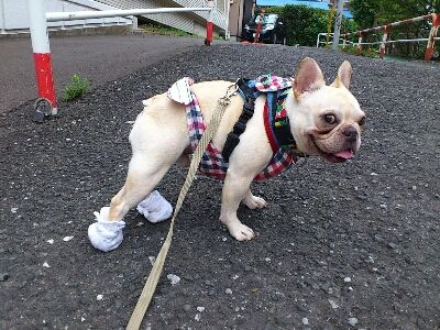 fc2blog_20120806220222b86.jpg